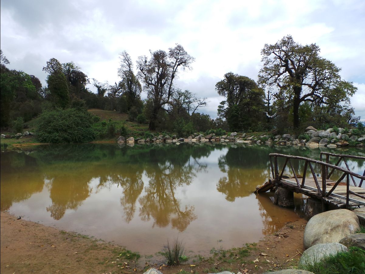 The Royal Botanical Park17